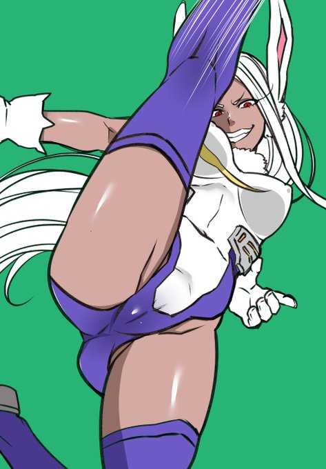 蹴りミルコさん 