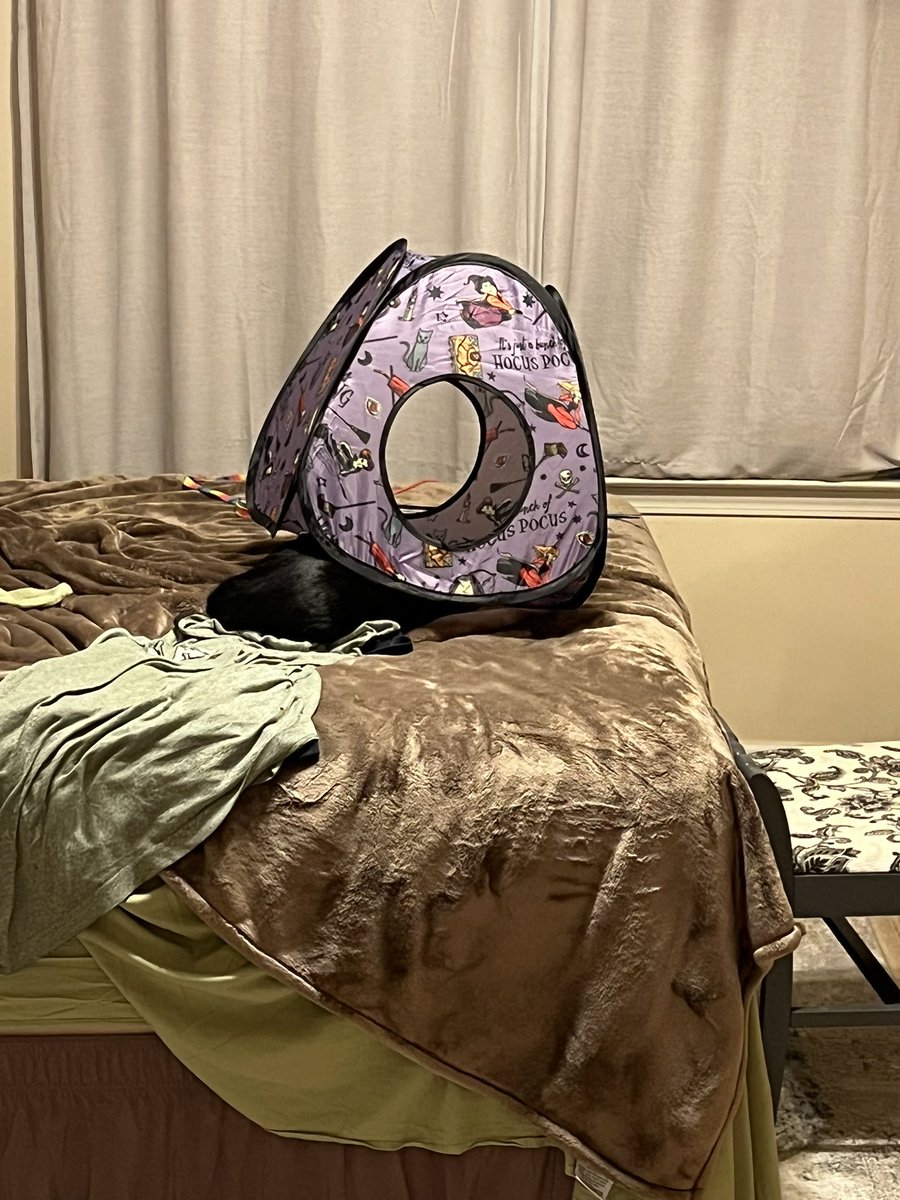 HappyMomba 🦉🗽🌊🧑🏻‍🦳🐰⛪️ 😈 tweet media