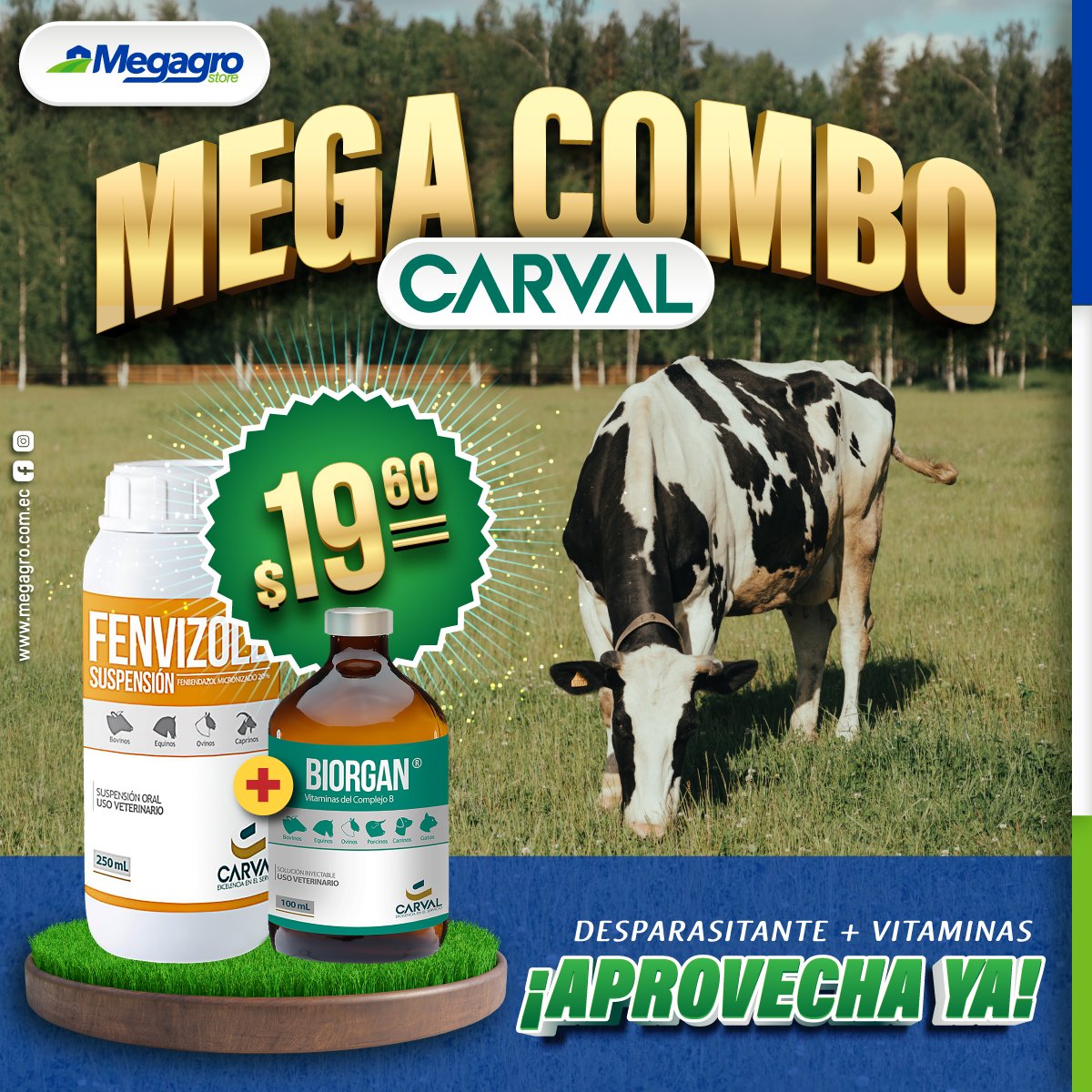 megagrostore's tweet photo. ¡Solo en Megagro te llevas calidad a los mejores precios! 
Aprovecha este Mega combo de 𝐅𝐞𝐧𝐯𝐢𝐳𝐨𝐥𝐞 (𝐅𝐞𝐧𝐛𝐞𝐧𝐝𝐚𝐳𝐨𝐥 𝟐𝟎%) 𝟐𝟓𝟎 𝐜𝐜 + 𝐁𝐢𝐨𝐠𝐚𝐧 𝟏𝟎𝟎 𝐜𝐜 = $𝟏𝟗.𝟔𝟎. 
Recuerda que esta promoción es solo por 𝙊𝘾𝙏𝙐𝘽𝙍𝙀
#MegagroJuntoATí https://t.co/hWlR5RkXX1