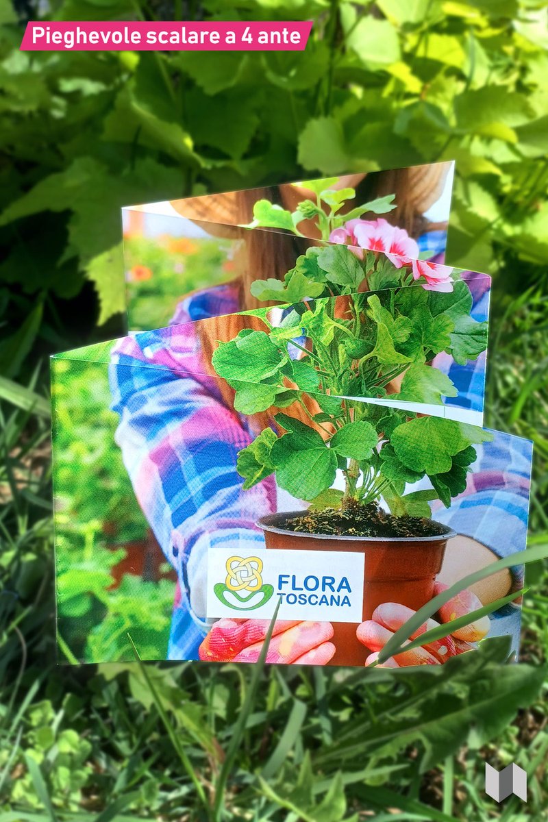MyBrochure's tweet photo. Prospettiva Mailing - Pieghevole completamente personalizzabile. Varie misure e grafica personalizzabile!

https://t.co/1BUJ8TWYV3

#graficapersonalizzata #personalised #folder #stand #fiere #events #eventi https://t.co/HdAGSOp7QE