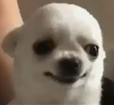*Los jóvenes son el futuro del país*

Yo sin saber si mi ropa esta húmeda o fría: