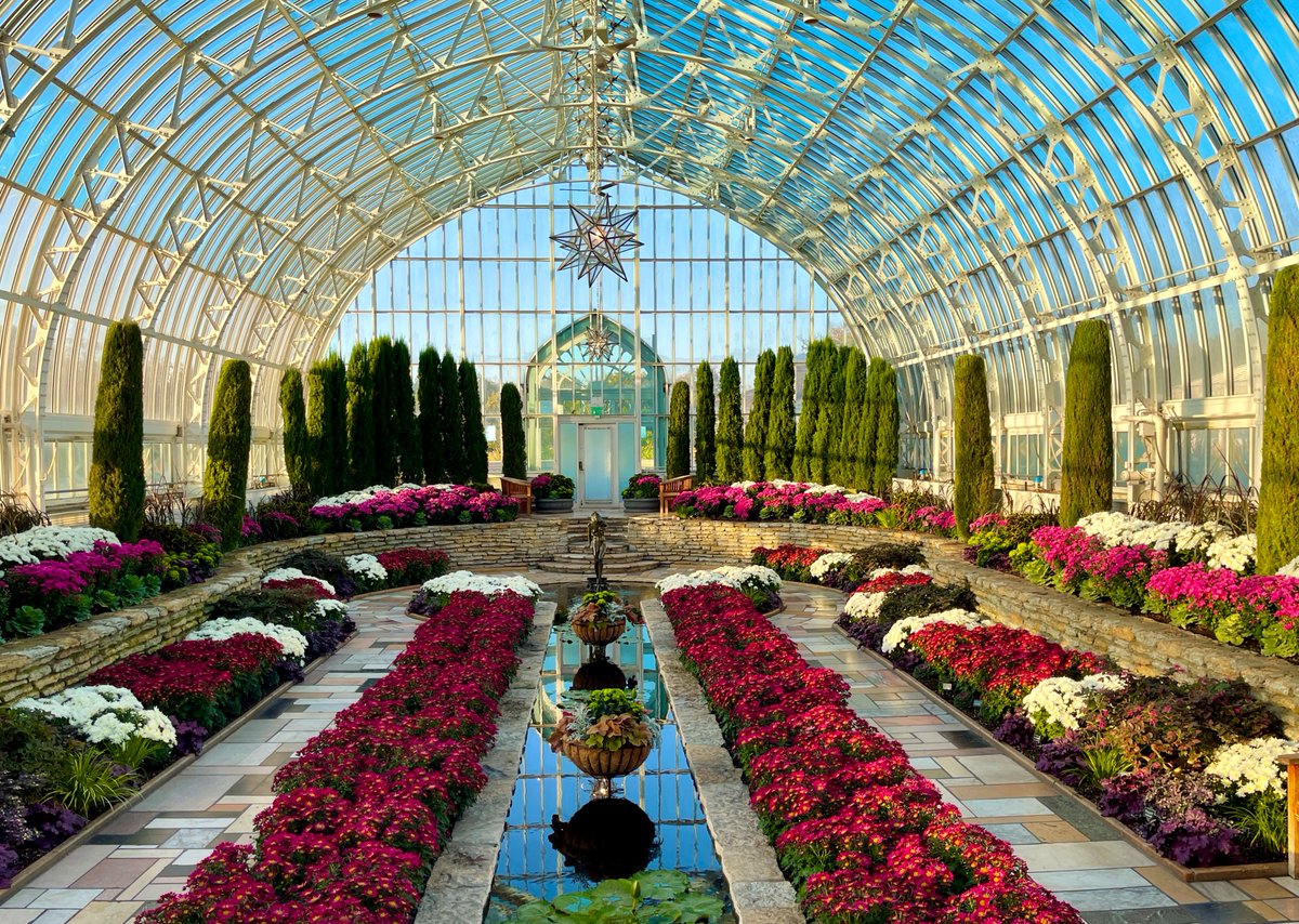 Como Friends tweet media