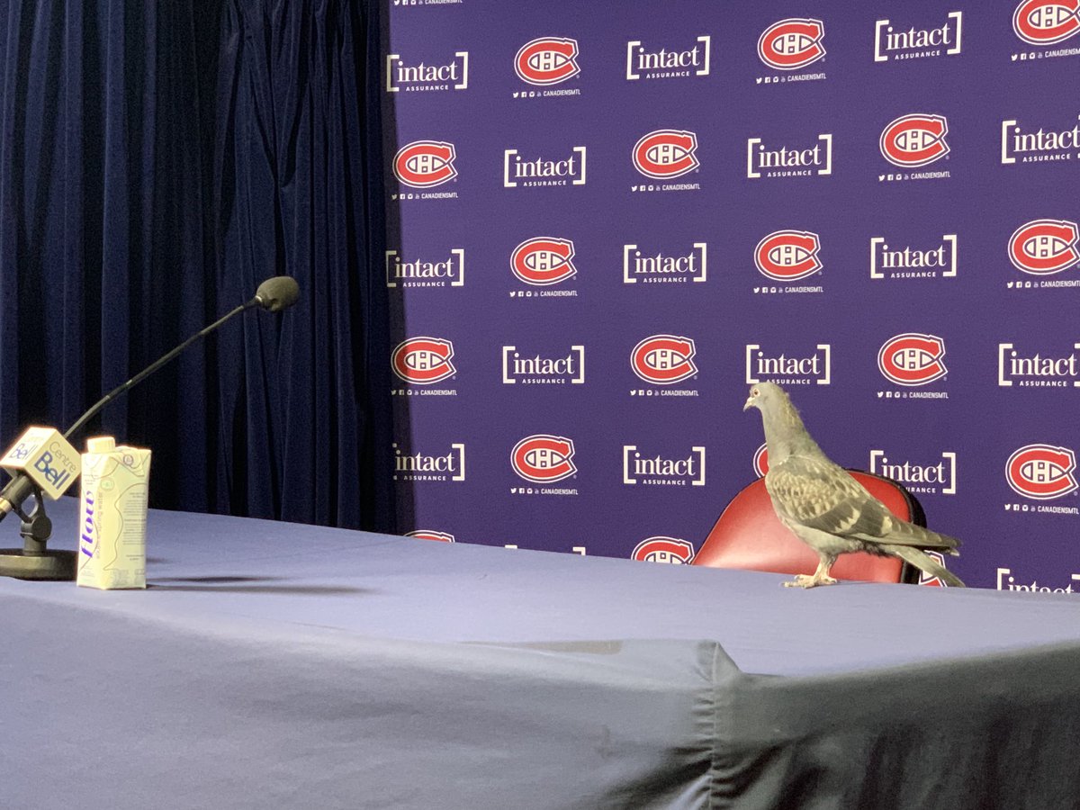 Sportsnet tweet media