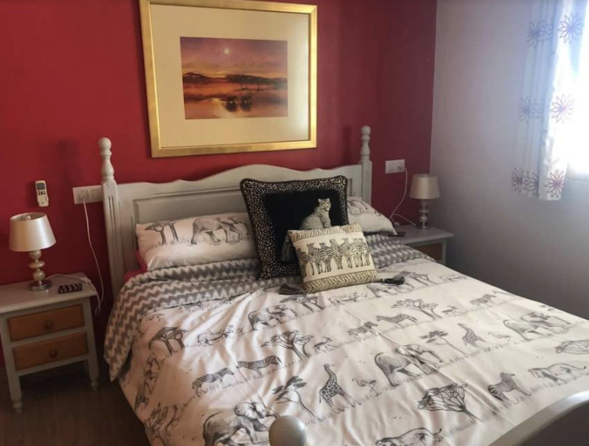 HouseSitMatch's tweet photo. CHRISTMAS #housesit! π
#Catsitting 3 cats over #Christmas and New Year, 13th Dec-4th Jan, in #Arboleas, #Spain πͺπΈ
Beautiful detached 4-bed #villa with a log burner
Click here for more info: https://t.co/nG0jTYSUBC
#catsit #catsitter #catsitters #trustedpetsitters #petsit https://t.co/6mPR0OKNZn