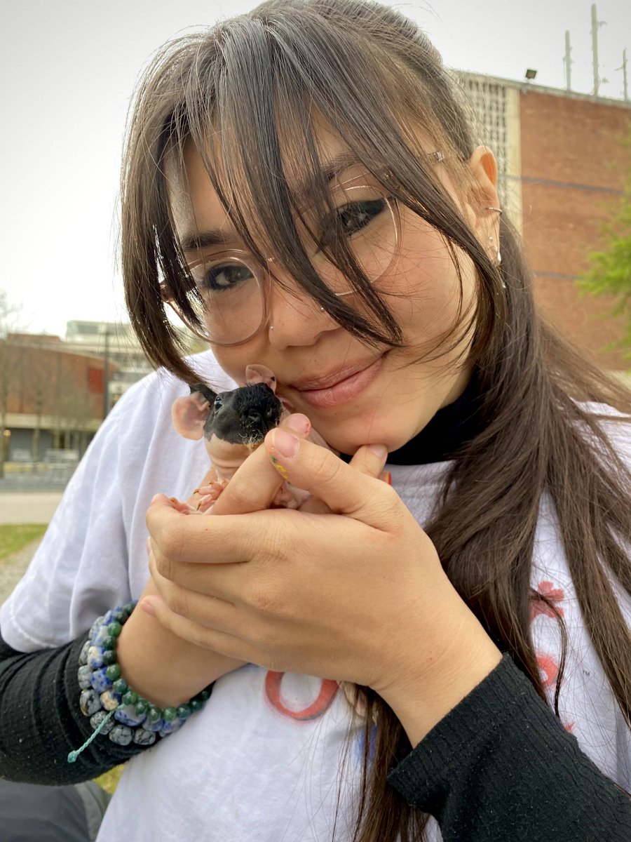 psiugt's tweet photo. ✨️Happy birthday to one of our pledges, Bella Sillar! 🥳✨️

We absolutely love having you around and hope you love it here too! Hope you're having an amazing day <3 https://t.co/tmt0mZ7ZJU