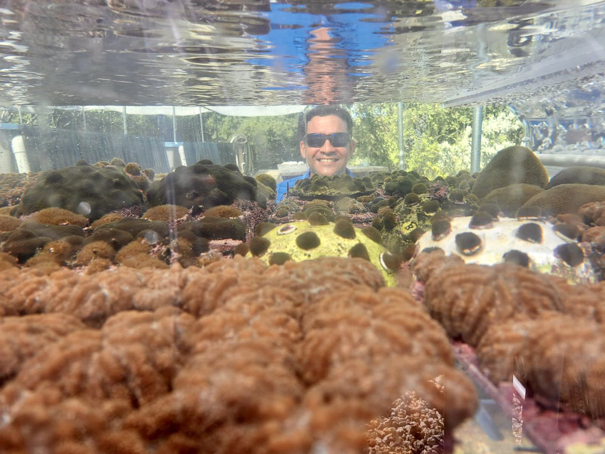 Igor__Pessoa's tweet photo. Spent the last two weeks in the lower Keys exploring new opportunities. A big thank you for the legendary Dr David Vaughan and family for having me and such a great time!! https://t.co/AAjgVwgtC1