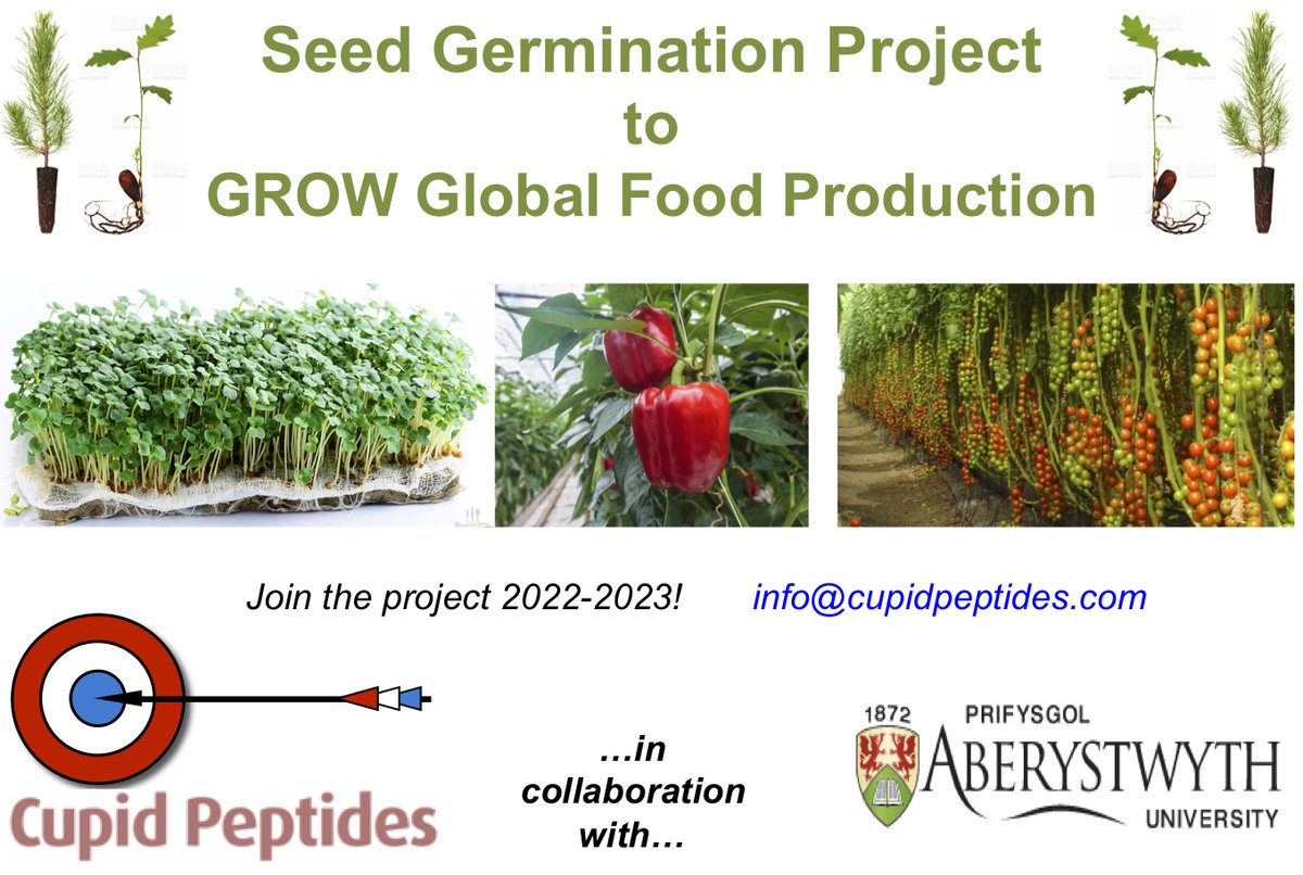 CupidPeptides's tweet photo. Following our Paper https://t.co/oE41pPZCvB we are collaborating with IBERS Aberystwyth University to investigate the effect of Cupid Peptides in Germinating Seeds https://t.co/9nBhSZHYDN