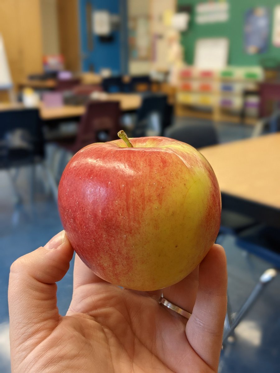 Keri Shannon (she/her) (@msshannon3v) on Twitter photo "Ms. Shannon, this is for you." π
Freshly picked this weekend... π€©
<a href="/tdsb/">Toronto District School Board</a> <a href="/LC2_TDSB/">Learning Centre 2</a> "Ms. Shannon, this is for you." π
Freshly picked this weekend... π€©
<a href="/tdsb/">Toronto District School Board</a> <a href="/LC2_TDSB/">Learning Centre 2</a>