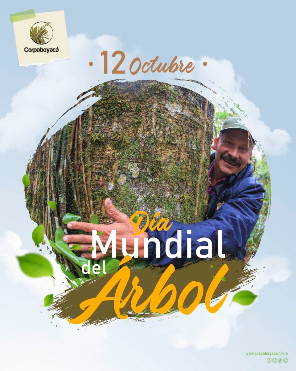 Corpoboyaca's tweet photo. Hoy en el #DíaMundialDelÁrbol, te contaré datos curiosos sobre ellos:
1️⃣ Los anillos de los troncos nos revelan más que su edad.
2️⃣ Son controladores naturales de temperatura
3️⃣ Contienen ADN https://t.co/JMhfURWJSL