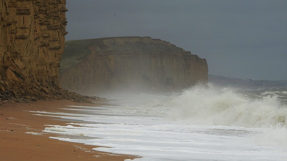 Nigey`s Wild Walks tweet media