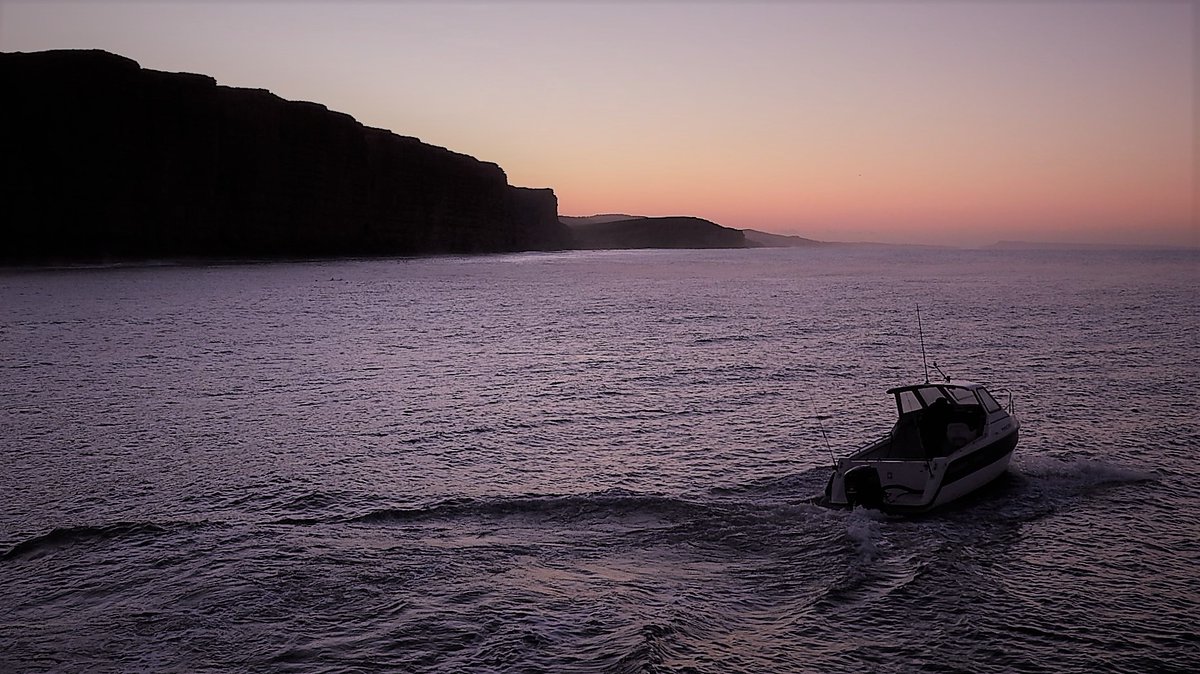 Nigey`s Wild Walks tweet media