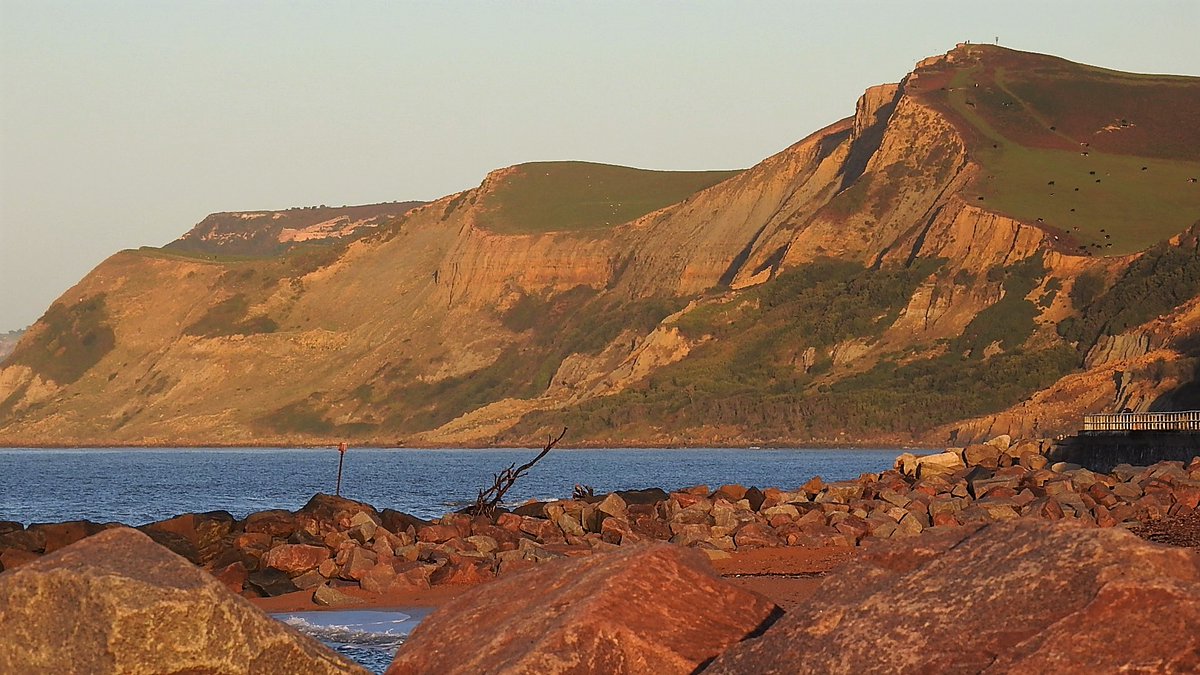 Nigey`s Wild Walks tweet media