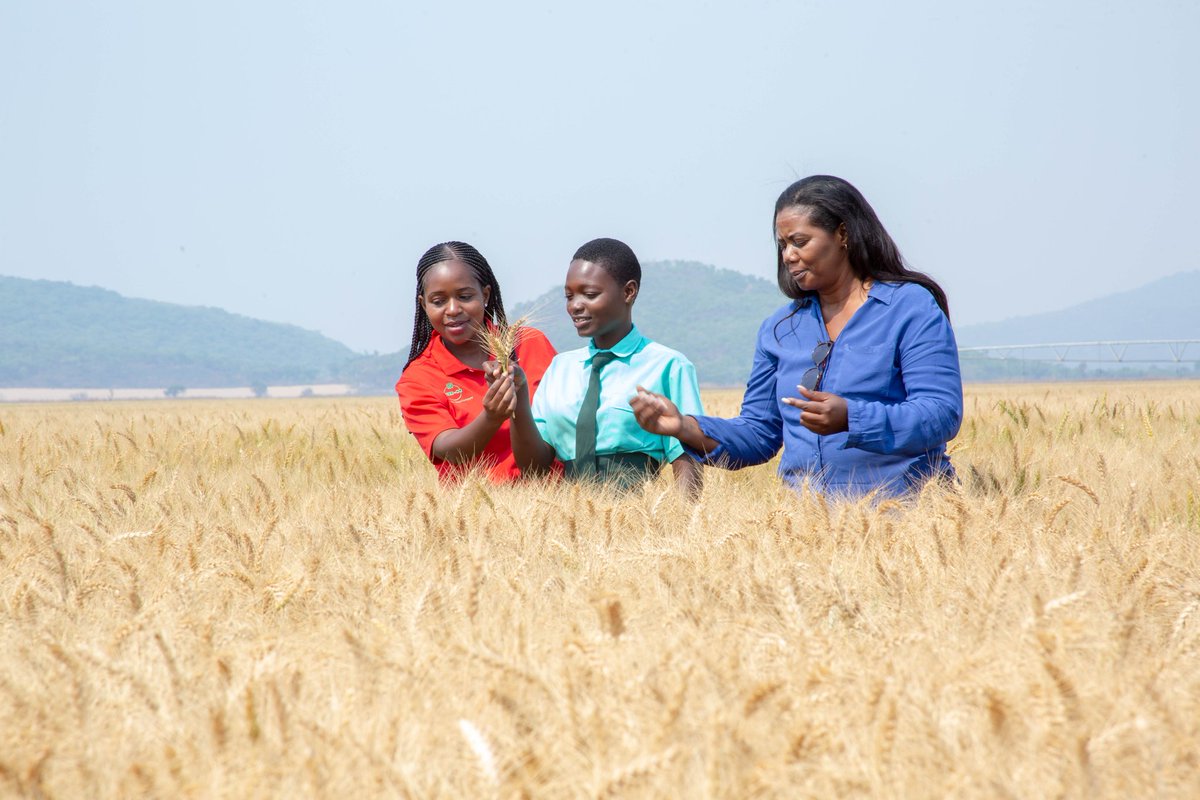 PlanZimbabwe's tweet photo. "This is a very noble initiative. It will help a lot of girls to get the message out there &amp; empowered enough to know that they can become anything they want to be..." Wendy. https://t.co/wZlFftVNZe