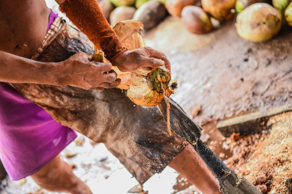 Lack of farm support ‼️

Due to low yields and income 📉, the average coconut farmer has no capital to invest in product improvements and in processing and marketing. 

Today is #NationalFarmersDay, to those that work in acres not in hours, we thank you! 🙌

#wednesdaythought