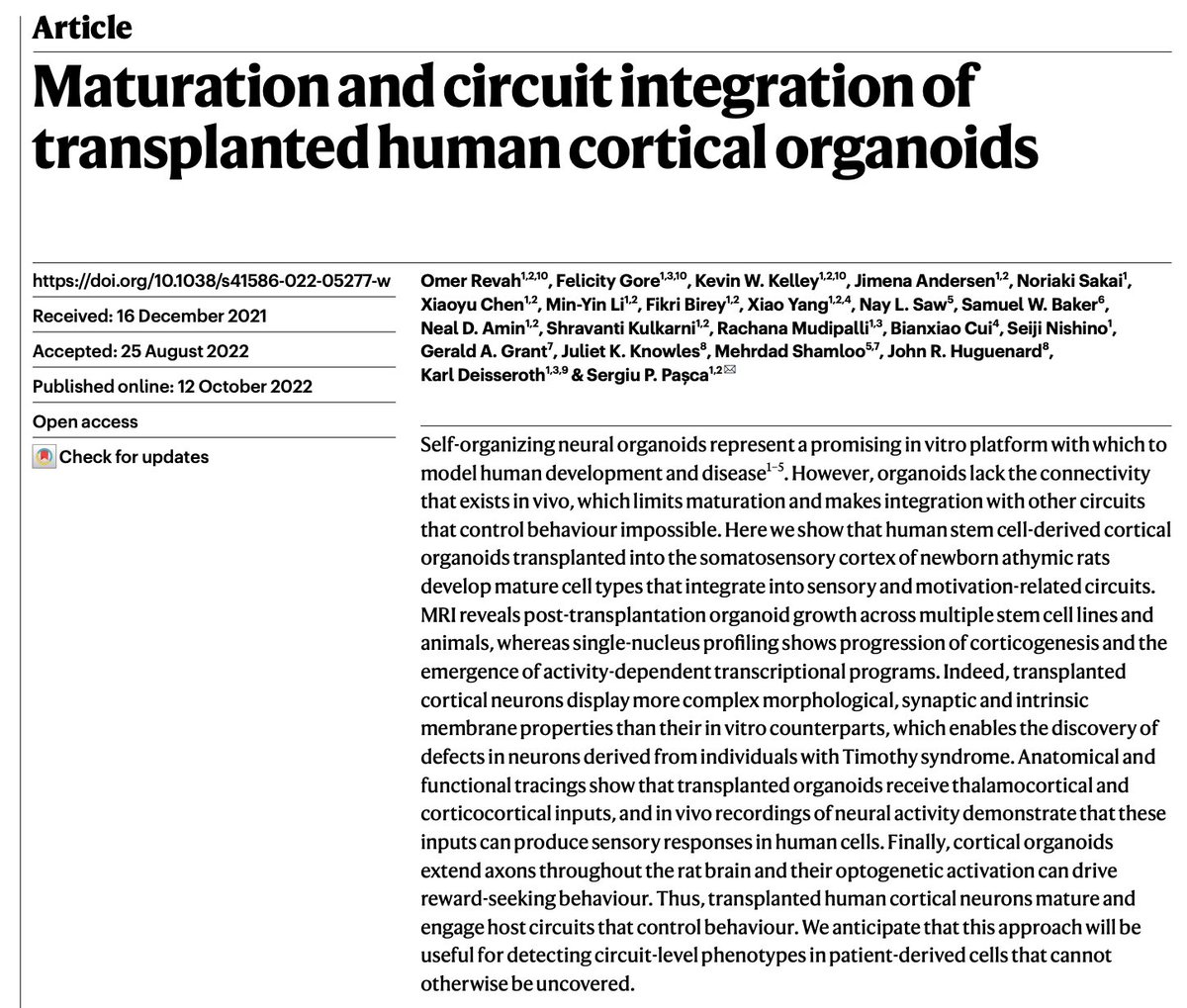 Kevin Kelley (@kevinwkelley) on Twitter photo So excited to see our paper out! An incredible collaboration with @omerevah, Felicity Gore, <a href="/Sergiu_P_Pasca/">Sergiu P. Pasca</a> and many co-authors.
How can we better model later stages of human neurodevelopment?
We found striking maturation of human cortical organoids when transplanted into rats. So excited to see our paper out! An incredible collaboration with @omerevah, Felicity Gore, <a href="/Sergiu_P_Pasca/">Sergiu P. Pasca</a> and many co-authors.
How can we better model later stages of human neurodevelopment?
We found striking maturation of human cortical organoids when transplanted into rats.