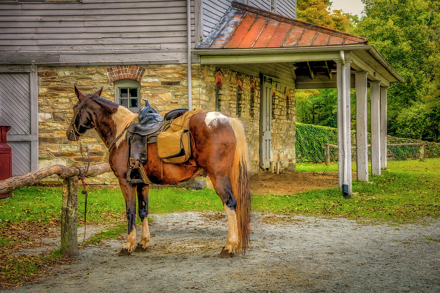 shelia_hunt's tweet photo. Autumn on the #BlueRidgeParkway
New Artwork
#ShopEarly
GET IT HERE https://t.co/lnmsLDoPv8
.
#autumn #BlueRidgeMountains #parkway #horse #MosesCone #PriceLake #BlowingRock #BuyIntoArt #FallintoAutumn #FallIntoArt #giftideas #fallcolors #autumncolours #inthecountry #AutumnVibes https://t.co/kPMBtqkgJt