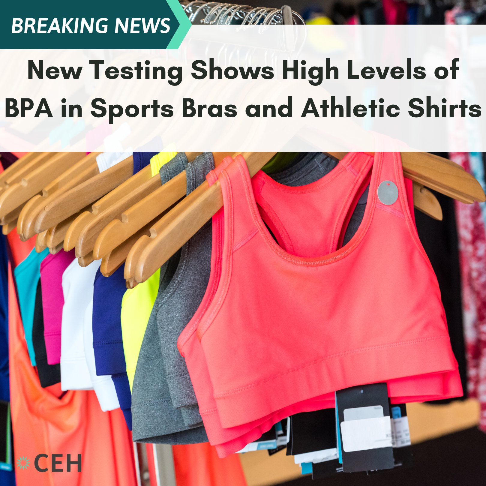Center for Environmental Health on X: ⚠️TOXIC CHEMICAL ALERT!⚠️ We sent  legal notices to 8 brands of sports bras and 6 brands of athletic shirts  after testing showed the clothing could expose