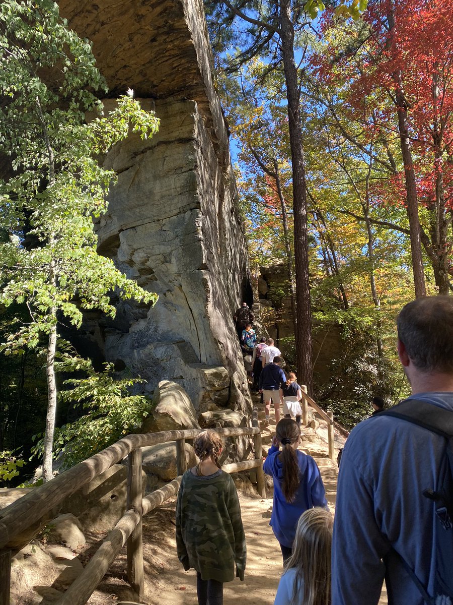 Susan Topmiller tweet media