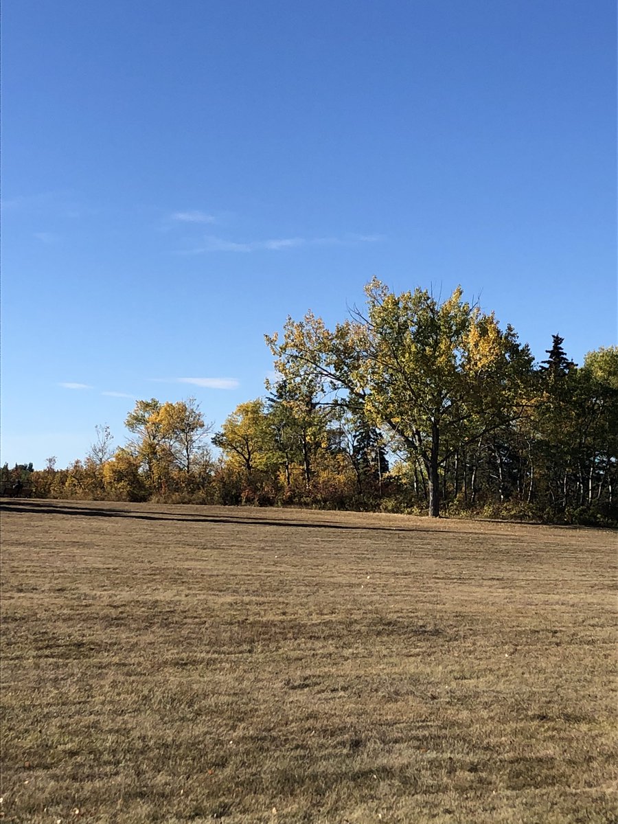 LifeIsToGoLearn's tweet photo. Walk :) https://t.co/xUOKFqcpWn