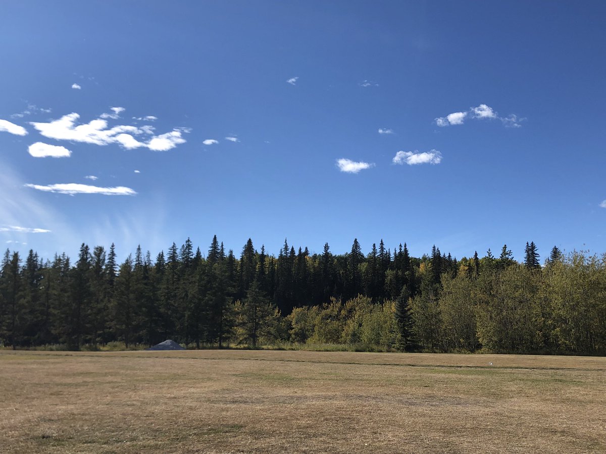 LifeIsToGoLearn's tweet photo. Walk :) https://t.co/xUOKFqcpWn