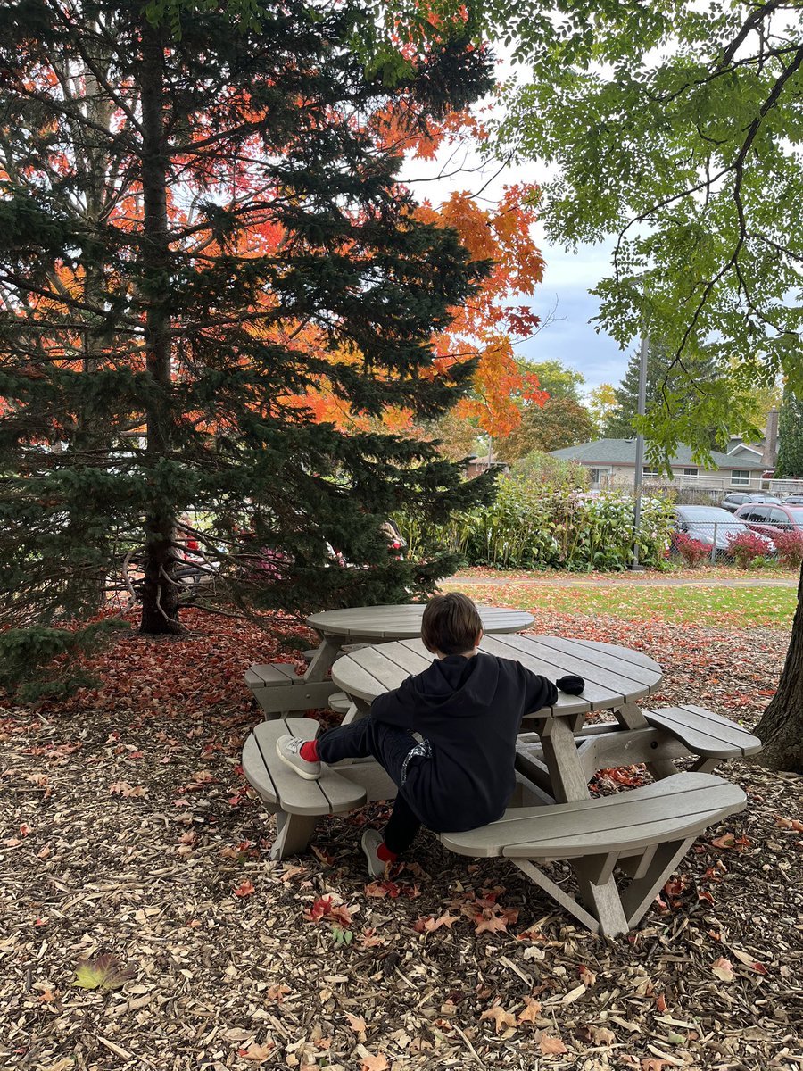 AMETFOenviro's tweet photo. Silent reading time? Why not do it outside! #iAmOutside 
@bedfordps https://t.co/PA0DJAL0RA