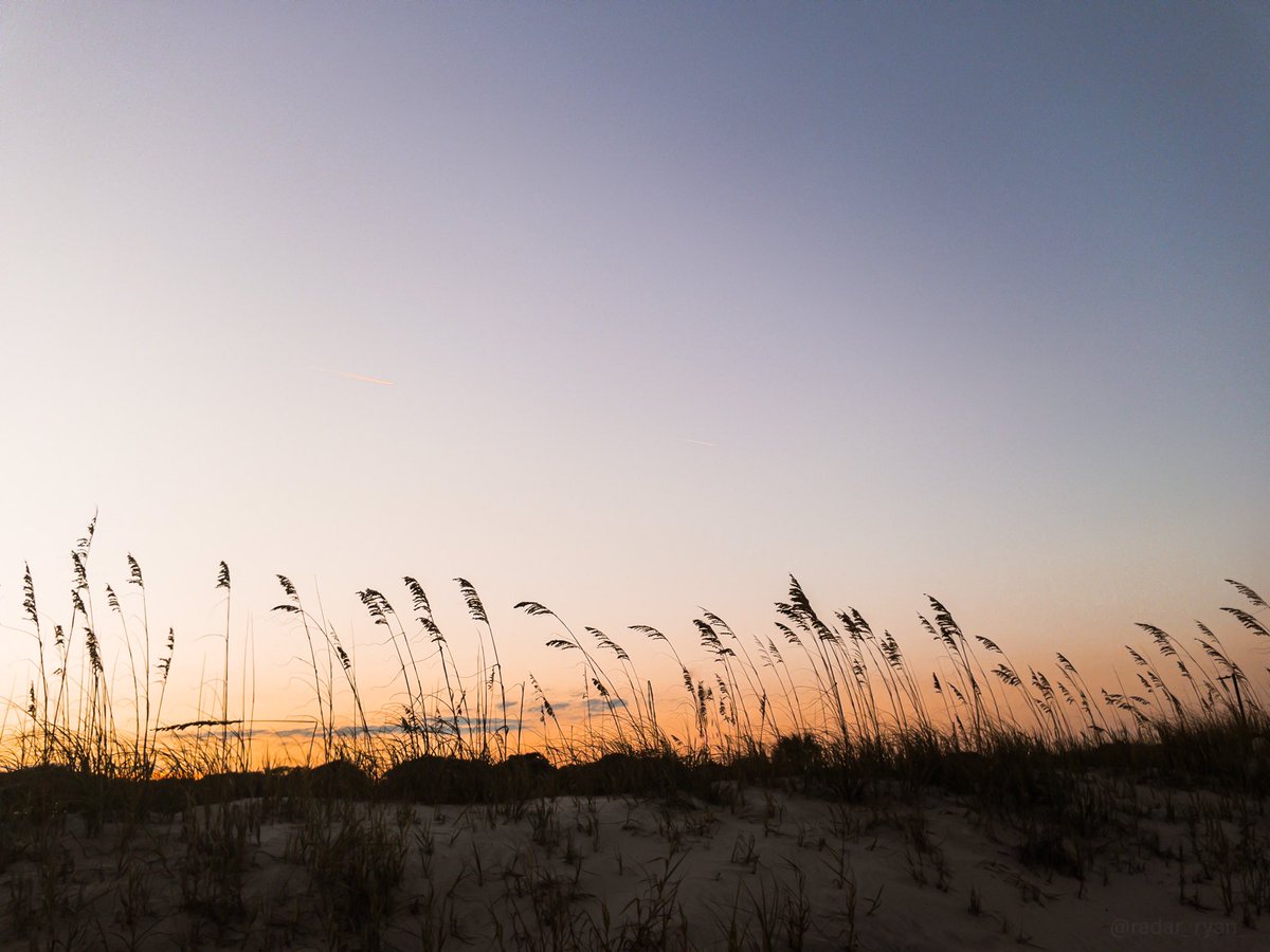 radar_ryan_'s tweet photo. Sand, sea, and sunsets.
•
•
•
•
#beachphotography #landscapephoto #endofsummer #myrtlebeach #beachshots #beachside #summervibes #beachscape #seascapes #beachday #beachtime #beachlover #beachlife #sealife #beachphotoshoot #picoftheday #beachvibes #summertime #summervacation https://t.co/RNoIOm3pyi