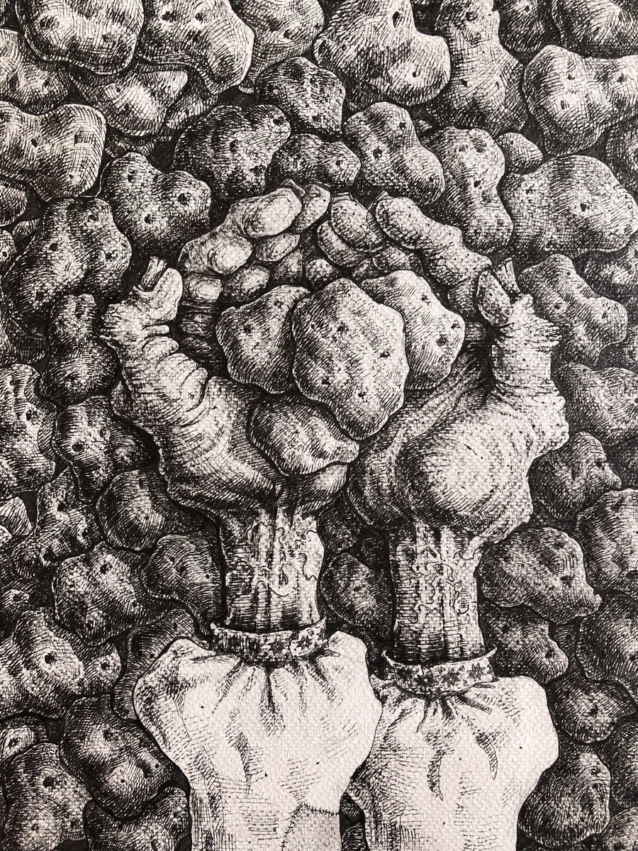 Дмитро Кришовський tweet media