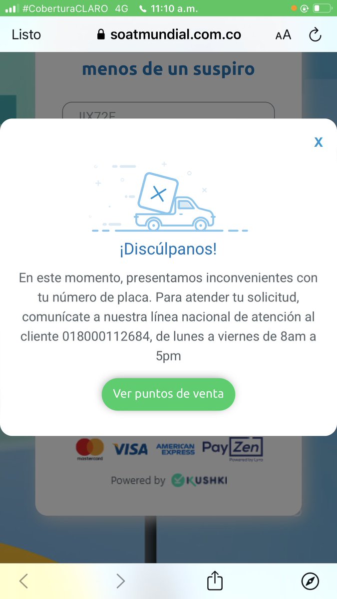 Pipesaurio🐉🐈 tweet media