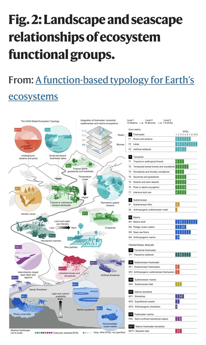 Finalmente salió publicado nuestro trabajo sobre la clasificación global de los ecosistemas #globalecosystemtypology nature.com/articles/s4158…