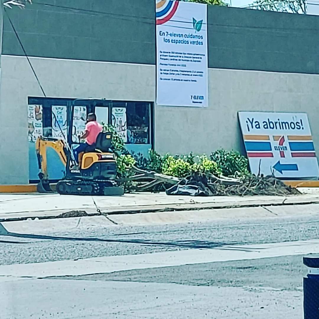Muy curioso <a href="/7ElevenMexico/">7-Eleven</a> cuida las áreas verdes, quitando árboles de la banqueta para tener más estaciomiento, en fin #hipocresía #hipotenusa