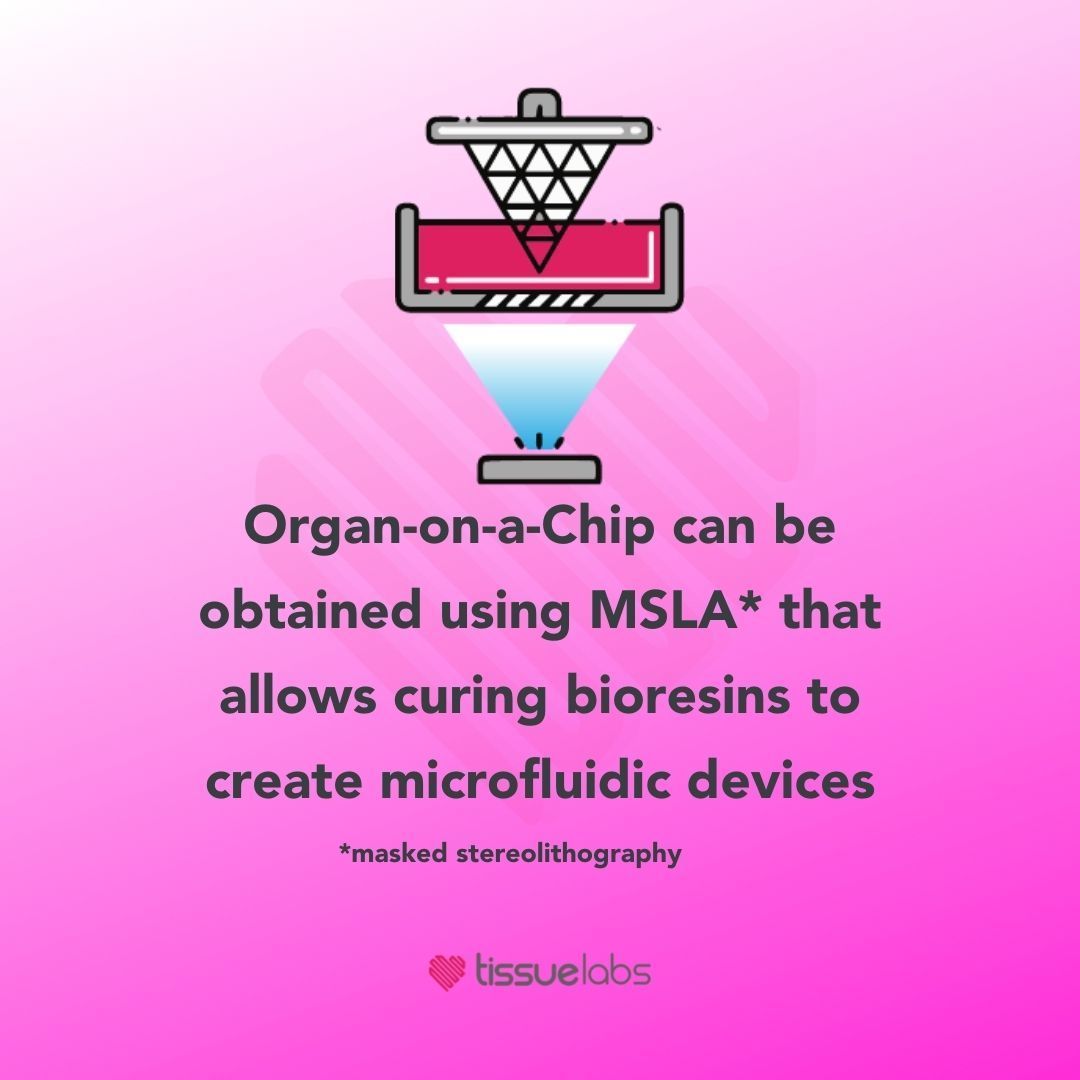 tissuelabs's tweet photo. ⚠The FDA approved the first clinical trial using #humanonchip !

 Would you like to start making your own microfluidic devices?

Contact our team through our website https://t.co/7iA3mOVt7O and start using #TissueRay™ today🚀

#tissueengineering #organonchip  #3dbioprinting https://t.co/KCX1u0KjDL