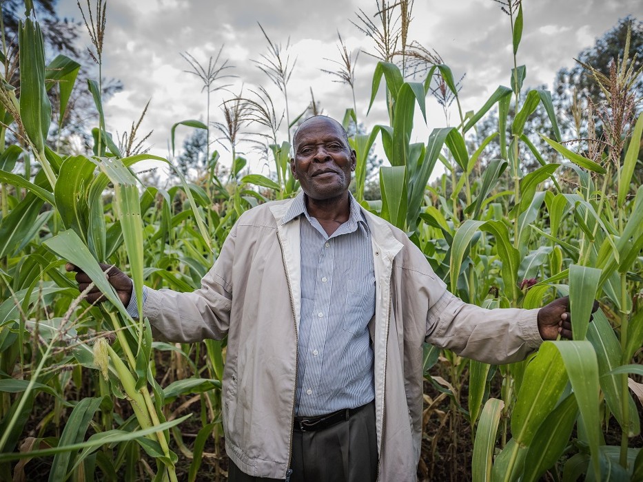 FINCA (@finca) on Twitter photo #FINCAVentures investee <a href="/IgnitiaWeather/">Ignitia Ltd</a> has developed the world's most accurate tropical weather forecasting model. Its services are allowing 2 million farmers and agribusinesses in #Africa to mitigate risk and create resilience. bit.ly/3T9fUqQ
<a href="/modernghanaweb/">Modern Ghana</a> #impinv #FINCAVentures investee <a href="/IgnitiaWeather/">Ignitia Ltd</a> has developed the world's most accurate tropical weather forecasting model. Its services are allowing 2 million farmers and agribusinesses in #Africa to mitigate risk and create resilience. bit.ly/3T9fUqQ
<a href="/modernghanaweb/">Modern Ghana</a> #impinv