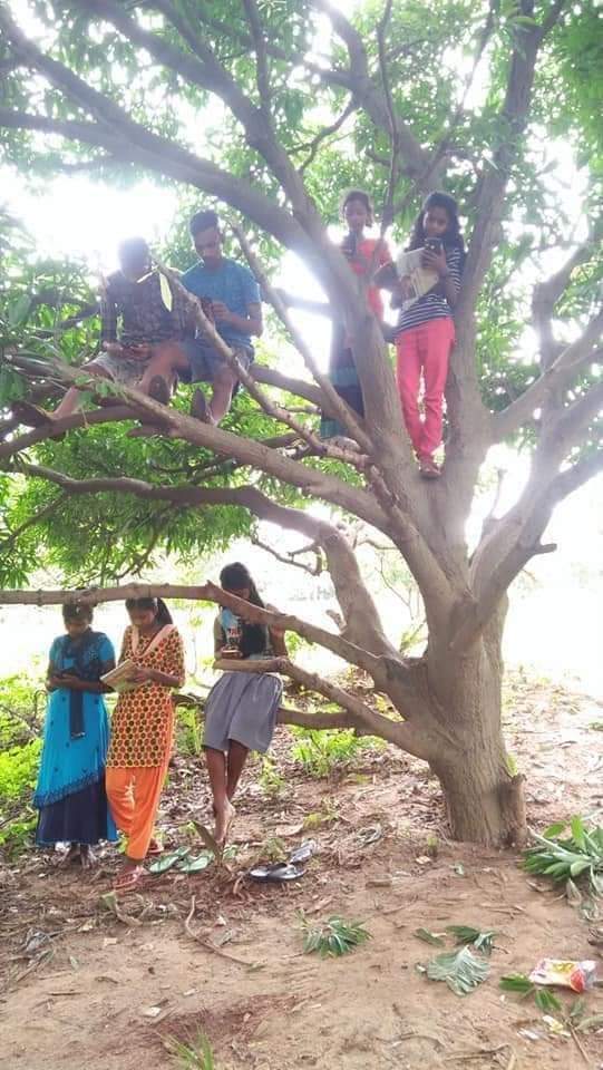 Debasis61069396's tweet photo. @JioCare 
At-Hadasanhar, Post-Utunia, Dist-Deogrh, Odisha, pin-768109
There no network coverage. People suffer a lot, no online study, no voice call, no data use https://t.co/s8VPVaWAkW