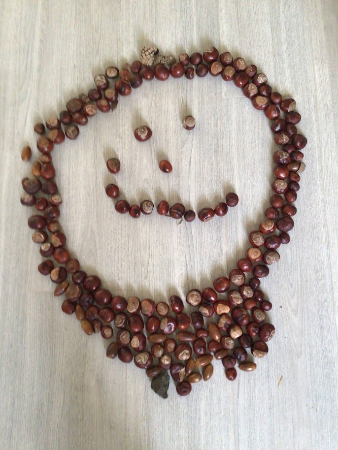 BothwellRoad's tweet photo. the great conker challenge is on show us your collection and what you do with them #BonkersforConkers https://t.co/EtmUSE6A6h