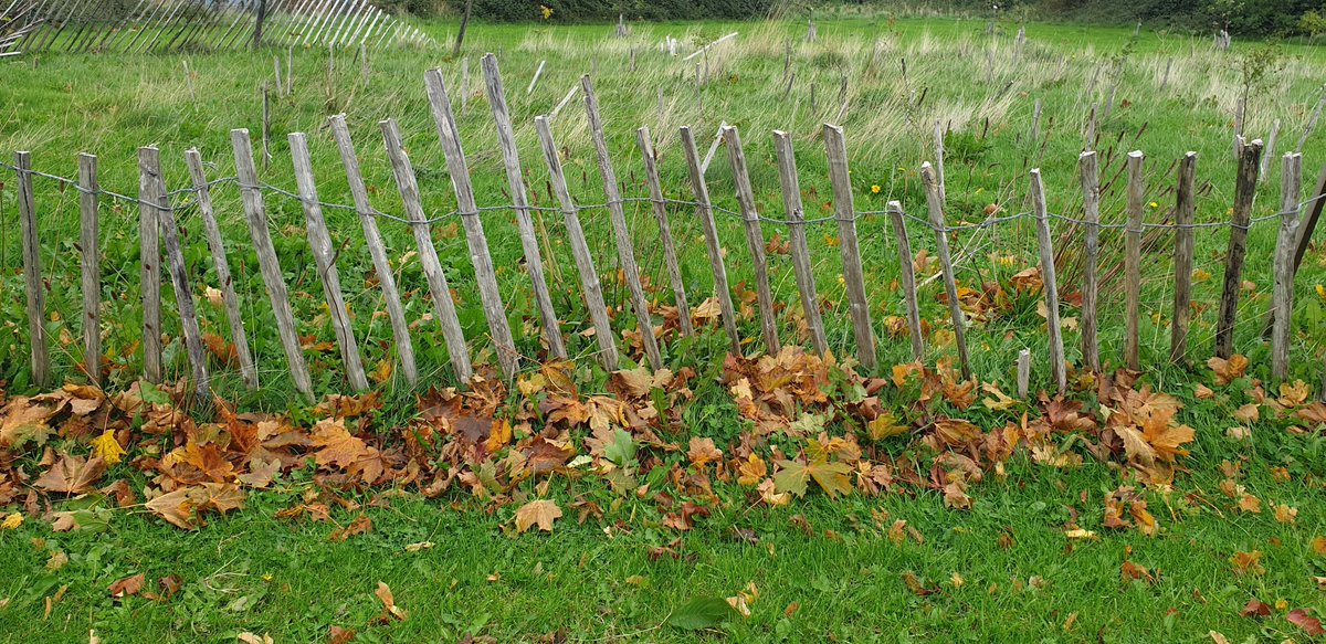 Andrew Kirrane / Inwood_furniture_design tweet media