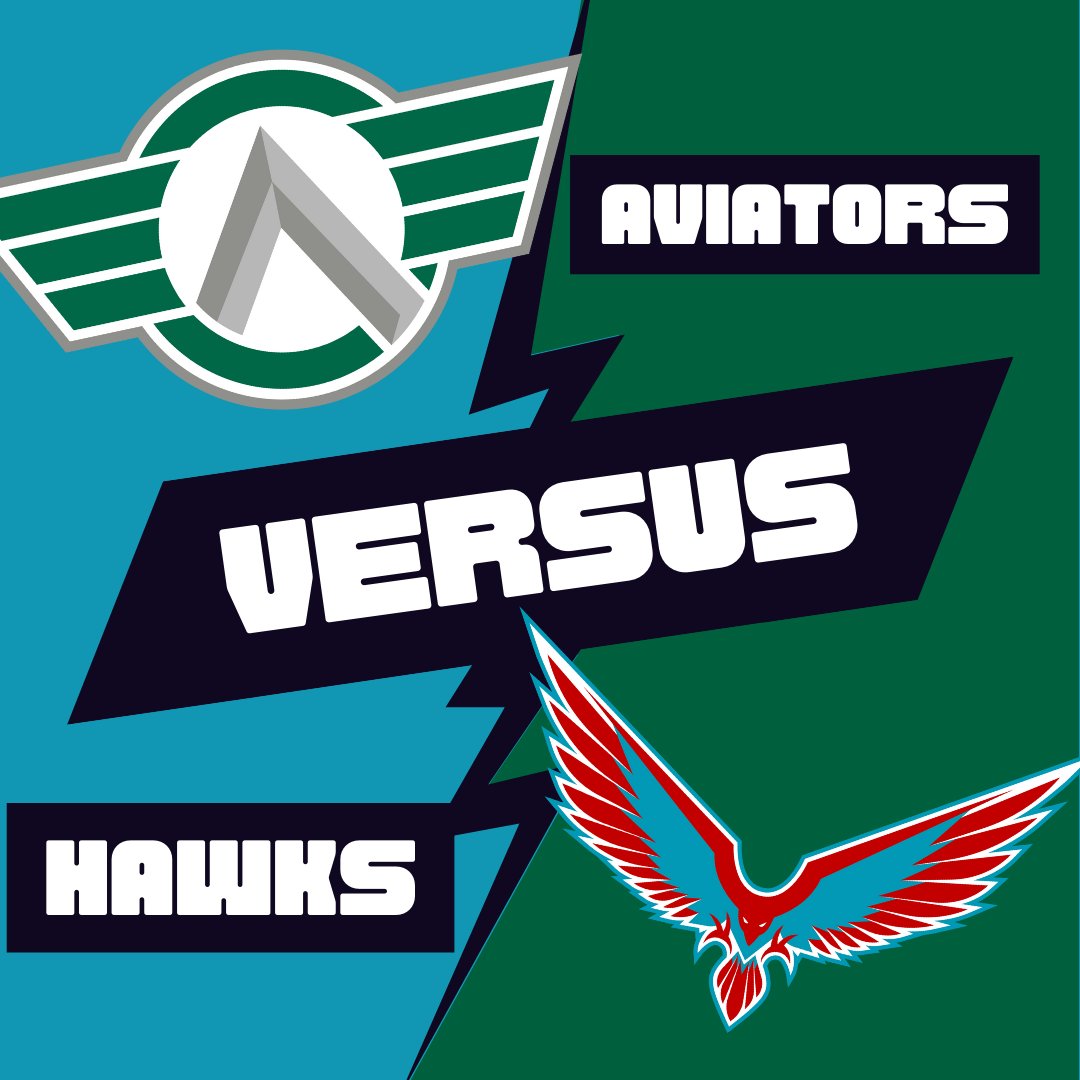 This week we are taking to the skies once again to face off against the <a href="/HawksMLE/">Hawks MLE</a>!
We will see you then!

#DangerZone #Hawks
