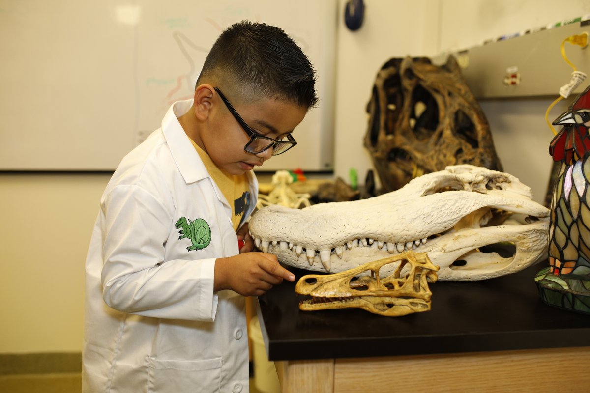 makeawishsfla's tweet photo. Happy #NationalFossilDay! 🦖

Sebastian, a 7-year-old boy with cancer, wished to be a Paleontologist! Sebastian spent the day with @RyanMCarney at @USouthFlorida examining fossils with his team.

Tune in to our Instagram story to watch the wish unfold! 🦖 https://t.co/njFhOz91yQ