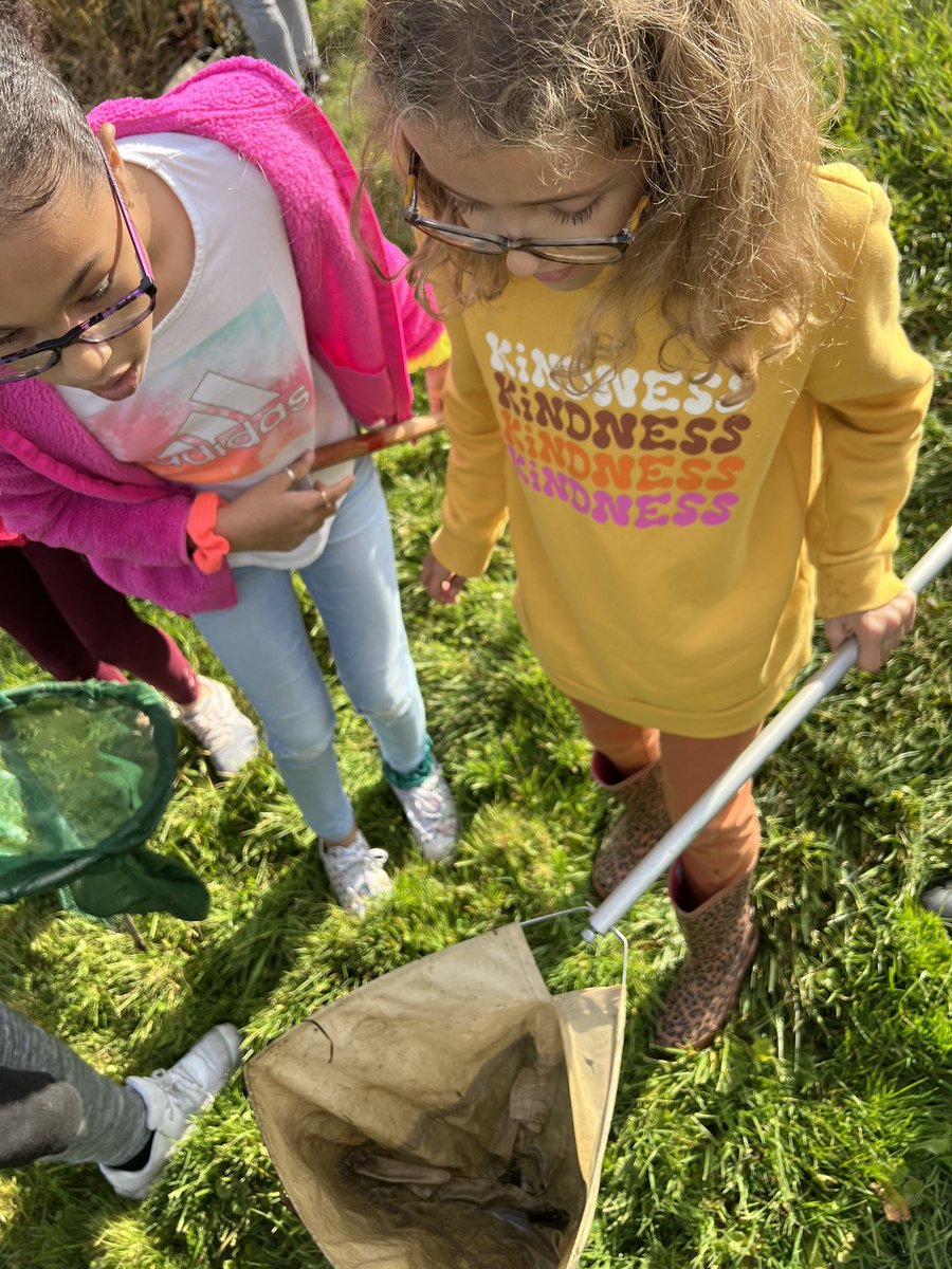 msknight225's tweet photo. Today was a beautiful day for a field trip. Thank you @DawesArboretum for helping us understand ecosystems and our environment, we learned a lot and had so much fun! @WeAreLegend_NCS @Newark_Schools https://t.co/tbV7ArHYy4