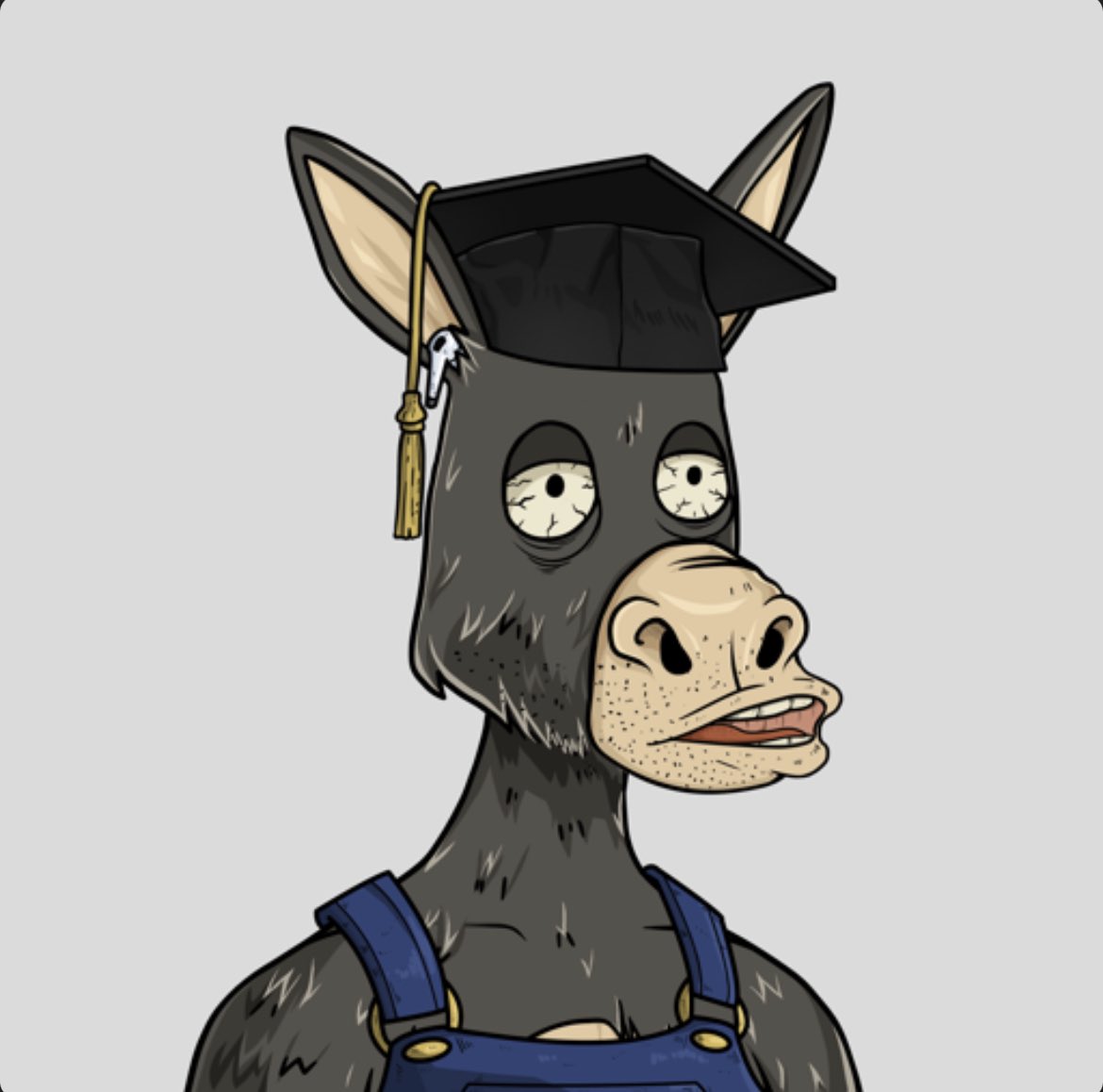 JustnSol's tweet photo. Just got this @dumbass_donkeys for the culture. And to support my man @IcedKnife 🫡 
Donki follow Donki? https://t.co/HUYkHGoDzY