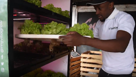 VFDaily's tweet photo. Zimbabwe: ‘Africa is ready for innovation by providing easy access to nutritious produce’ @myvitagrow
https://t.co/T2M9jFUzRb https://t.co/VoSeOk1TlY
