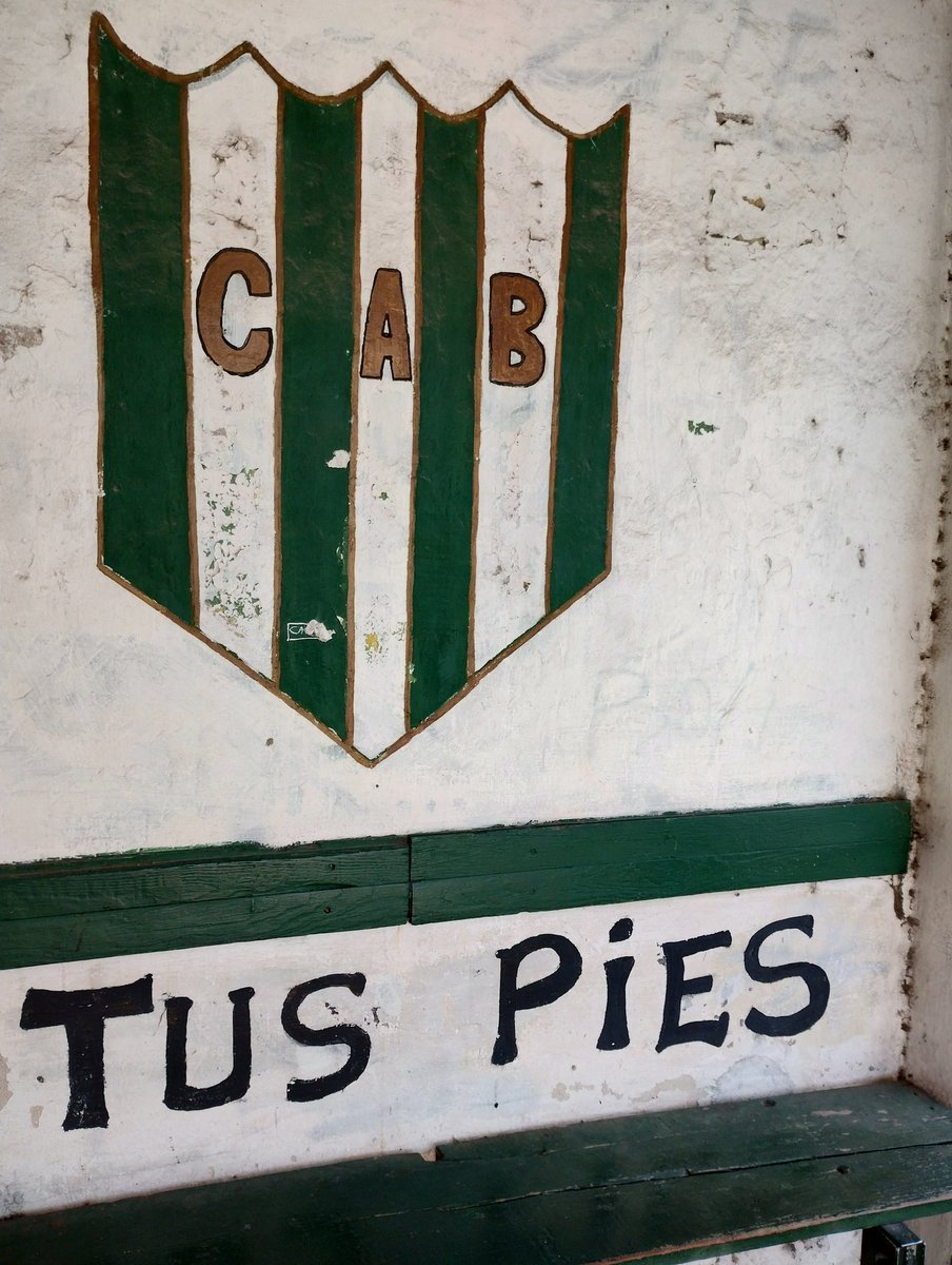 Banfield kinky #banfield