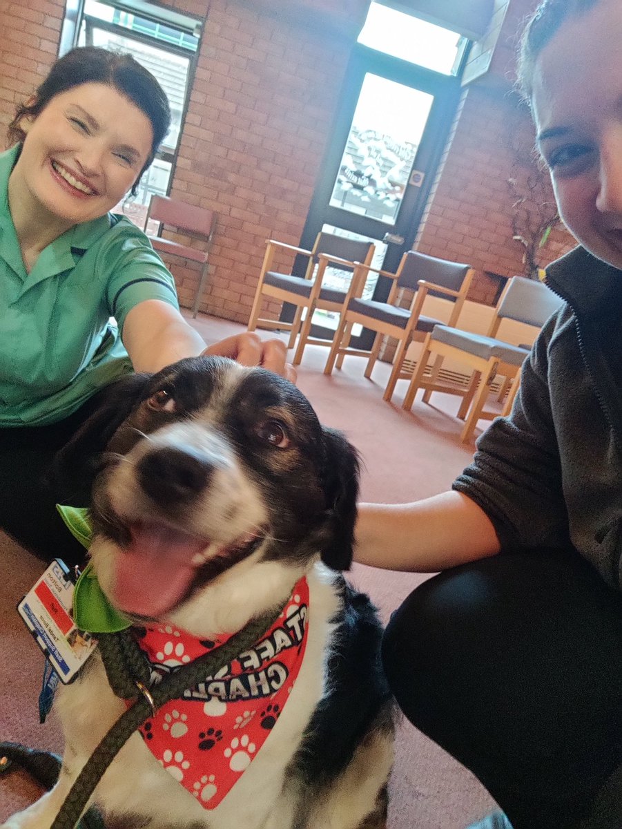 NicolecrFowler's tweet photo. @revcathfrog @boltonnhsft Today we met the support chaplain dog Tandal @bolton he was such a cutie ! 🐾🐶 https://t.co/WqQNo6ZRhm