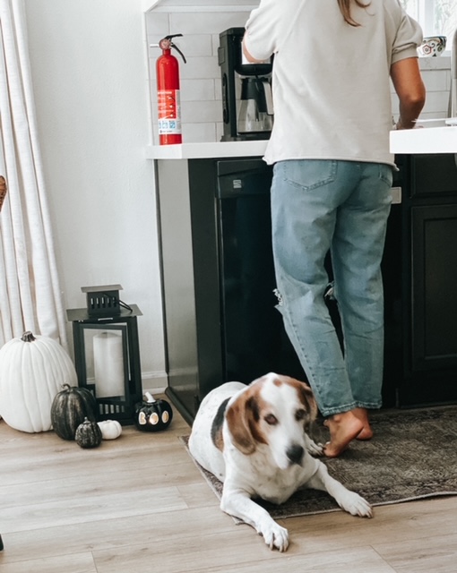 #FirstAlertPartner  It's no secret I love Halloween. October is also Fire Prevention Month, so I partnered with <a href="/FirstAlert/">First Alert</a> to share tips to decorate your home for  fall and Halloween safely this spooky season and beyond. #FirePreventionMonth #FirstAlert
wp.me/p4XX6v-1Nd