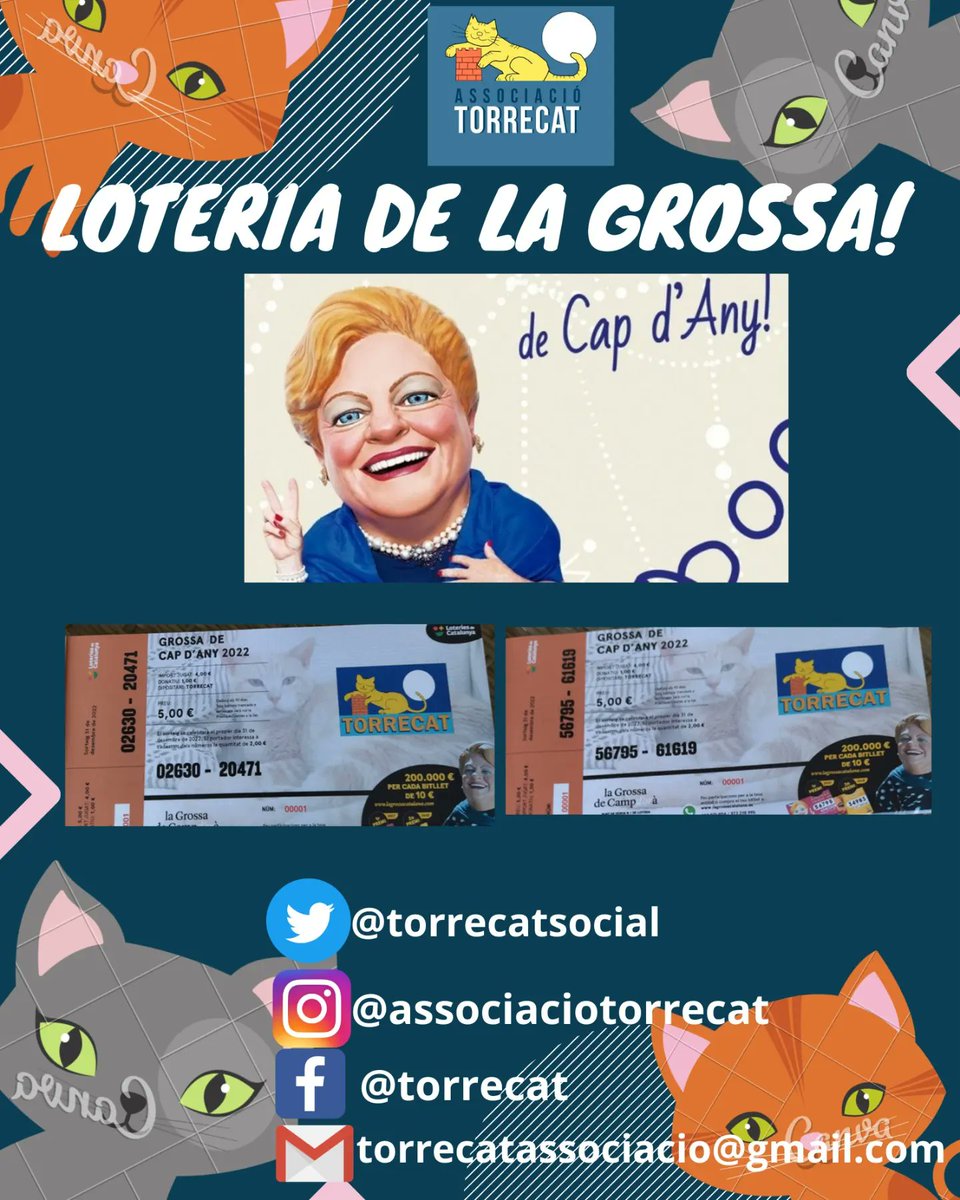 torrecatsocial's tweet photo. 📌La podeu adquirir a @AnuraClub i a la pastisseria Livorno de #Torredembarra. També a la propera #paradetasolidaria o contactant amb algú de nosaltres! 😉
☝️No trigueu gaire, que s'acaba!
#Torrecat #loteriadelagrossa #gatsdecarrer #solidaritat https://t.co/FHKJlc9A6k