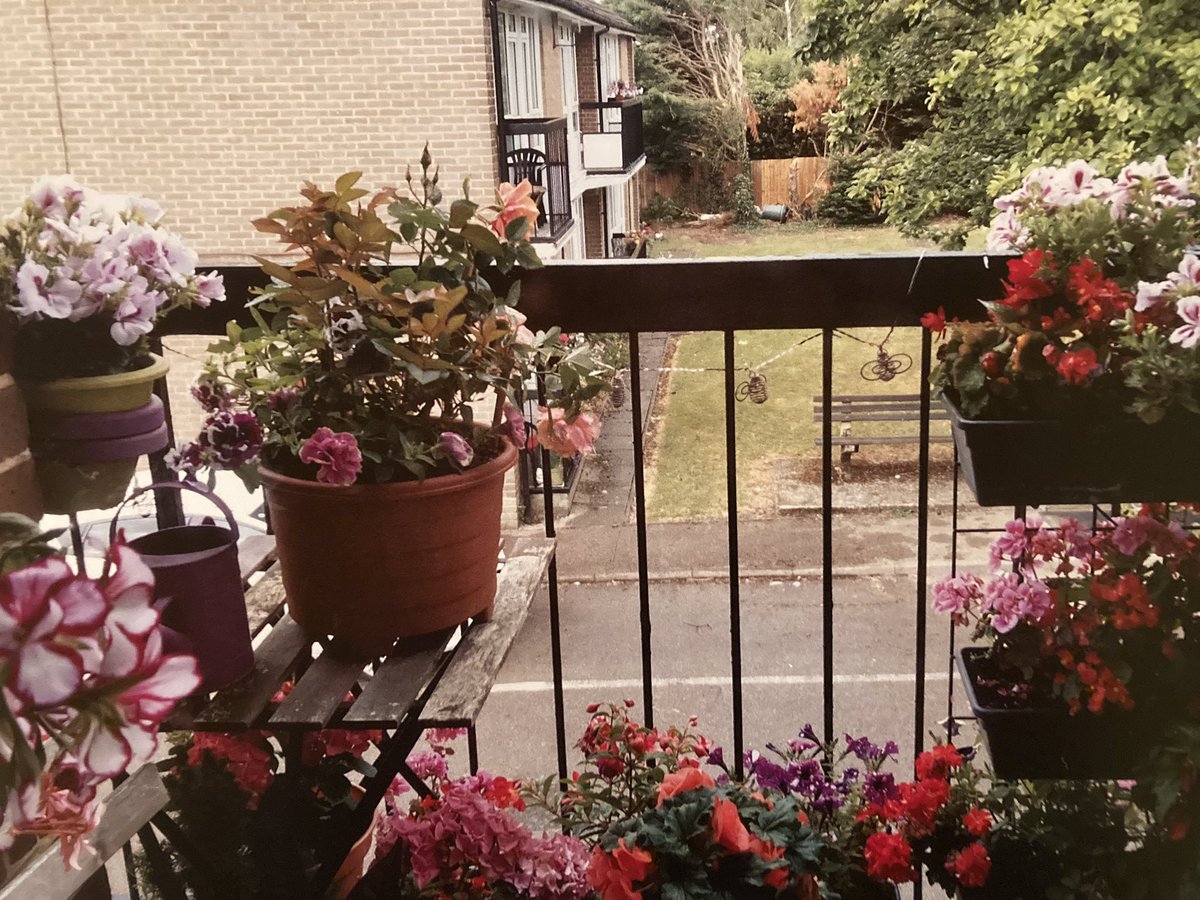 A pictorial floral delight on display today as part of the Flowers in Bloom competition run for <a href="/eppingforestdc/">Epping Forest DC</a> sheltered housing residents. Great to see what can be achieved in small spaces and congratulations to the winners.