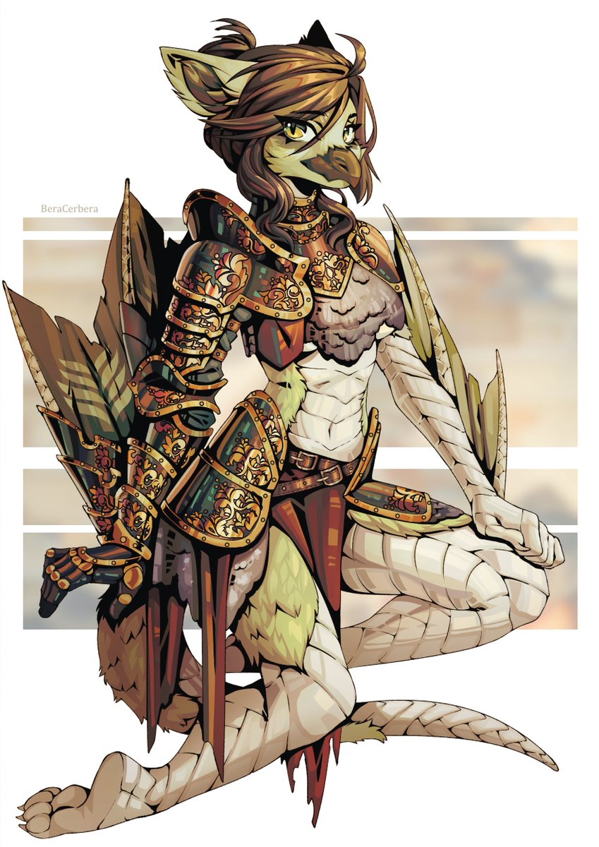 High protective armour time
+birbs