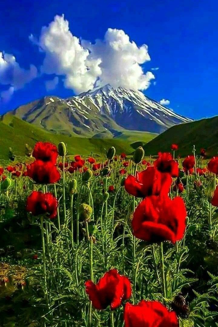InsatiableVVIP's tweet photo. Beautiful Scenery 

🗺☘️🌿🎋💎🍀🔥⭐️❤️‍🩹💕🌈❤️ https://t.co/vFrSehE4Tc