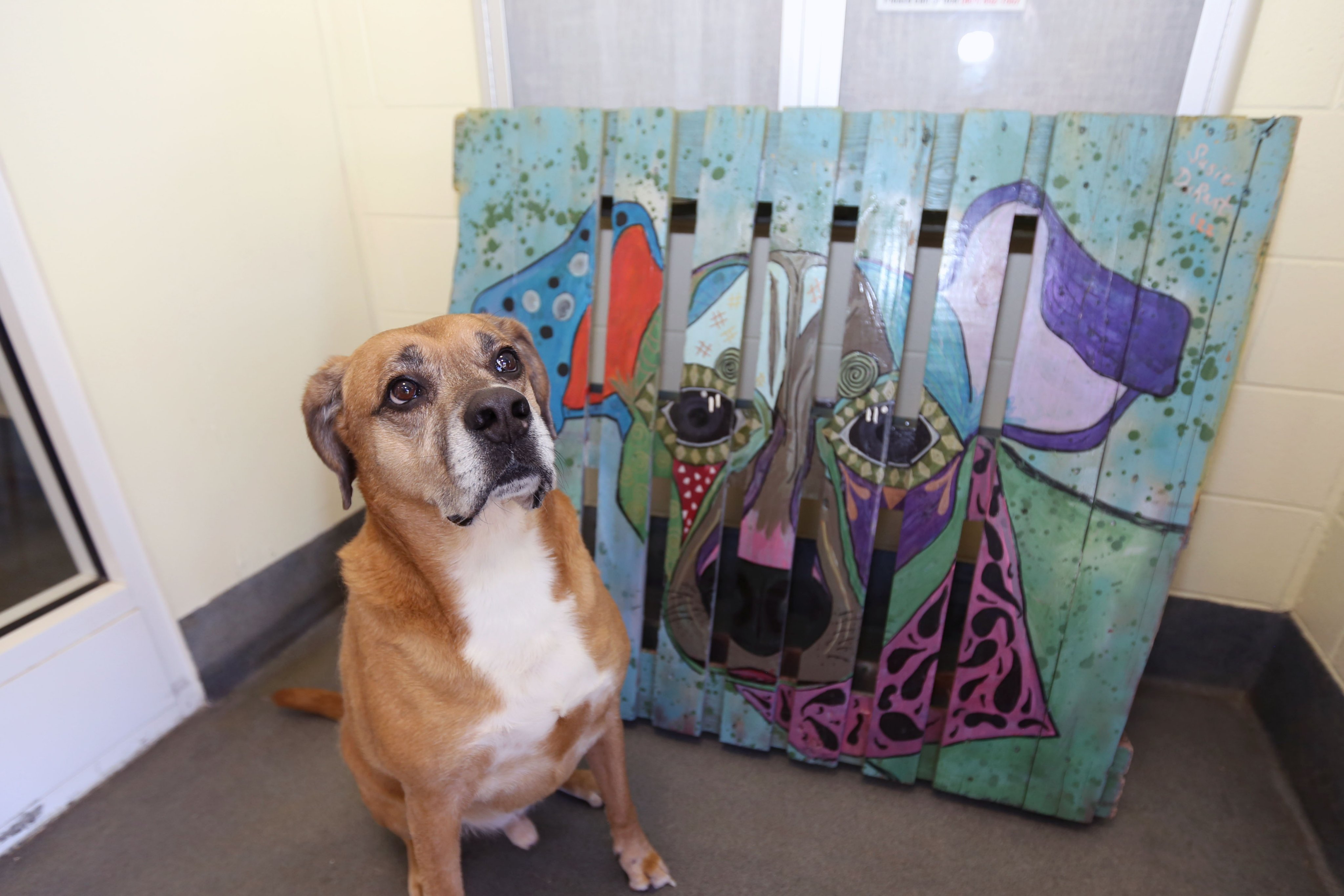 Henrico Police (HenricoPolice) / Twitter