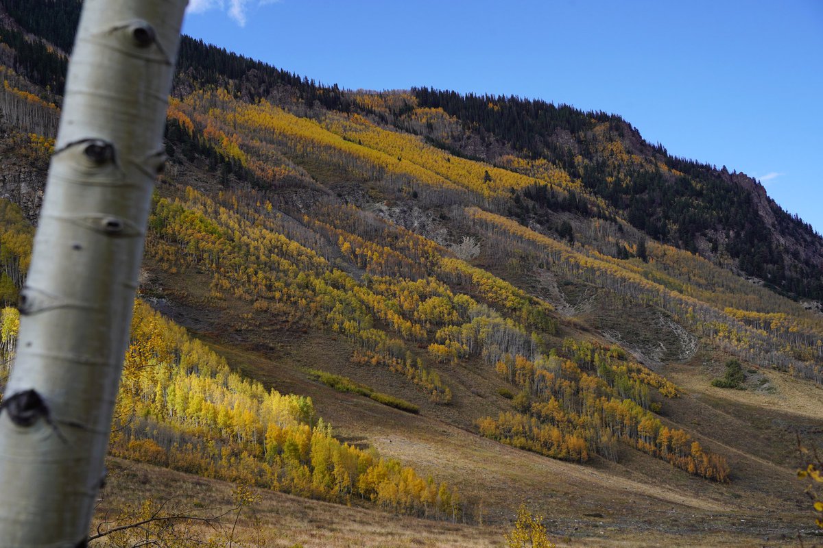I haven’t used this platform to share my photography yet…. But when the foliage is this stunning it’s hard not to. Some landscape shots from this weekend in the Aspen area.