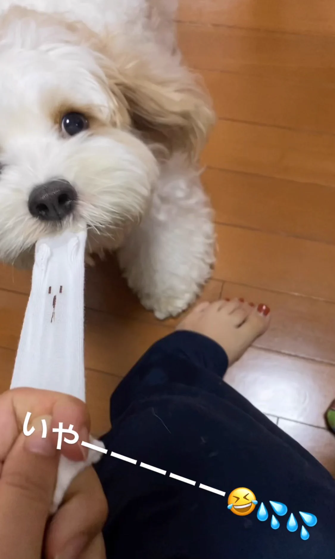 見事なオチ！4コマ漫画のような赤ちゃんミトンの起承転結がこちら！